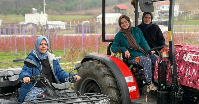 Kentten kırsala dönüp yaban mersini yetiştiren kadınlar, hemcinslerinin de bütçelerine katkı sağlıyor Bursa Haberleri