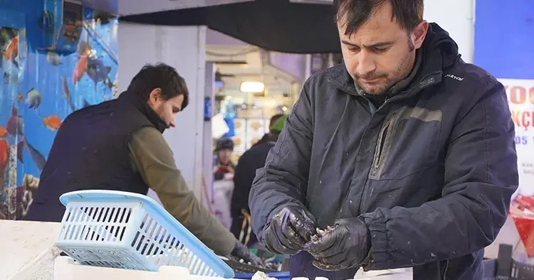 Havalar ısındı tahtını kaybetti! Gürcistan zammı vatandaşın tercihini değiştirdi