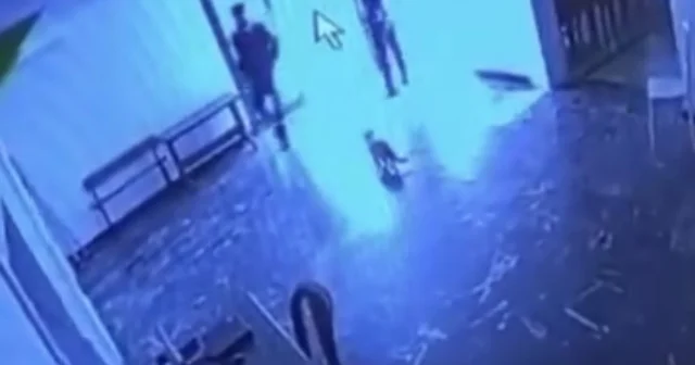 Kediye tekme attı, o anlar kameraya yansıdı Elazığ Haberleri