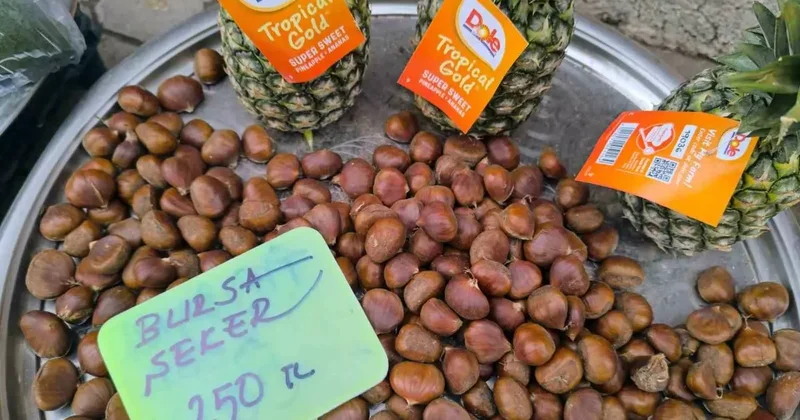 Kestane fiyatıyla yüzleri güldürdü