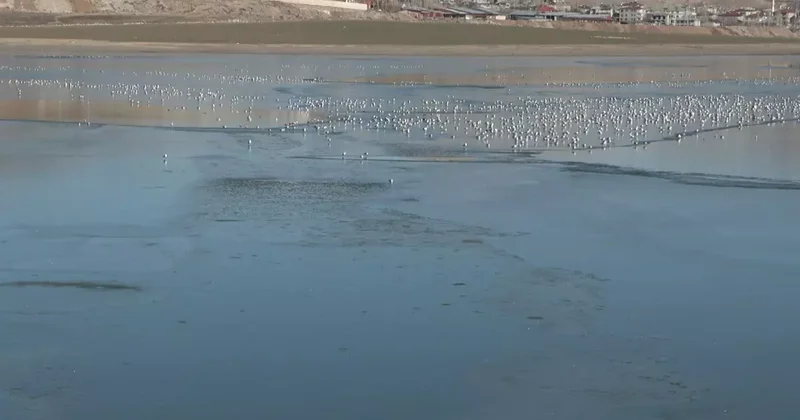 Van daki Sıhke Gölü nün yüzeyi kısmen buzla kaplandı