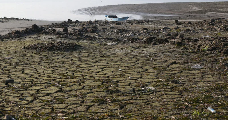 Çare yağmur suyu hasadı Son dakika haberleri