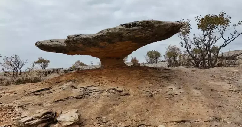 Diyarbakır da buzul çağ kalıntısı: Tam 6 milyon yıl önceye ait