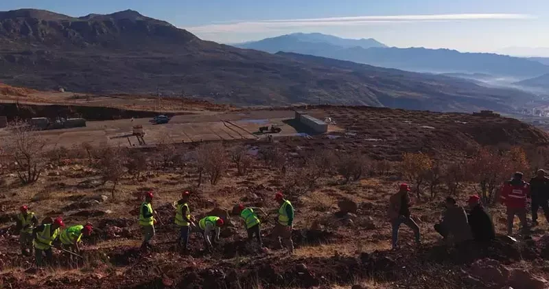 Gabar da fidan dikim seferberliği