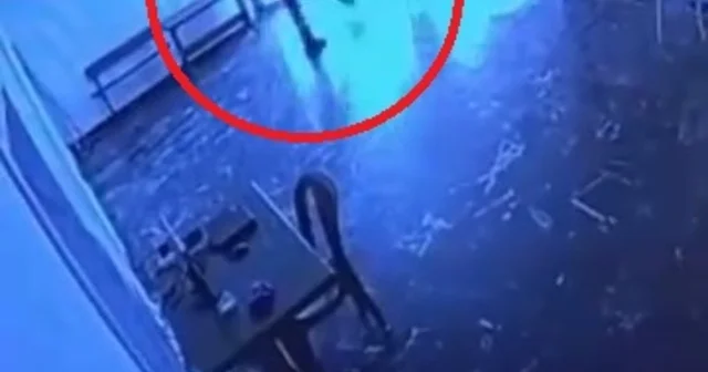 Belediyeye ait tesiste kediye tekmeli müdahale kamerada Elazığ Haberleri