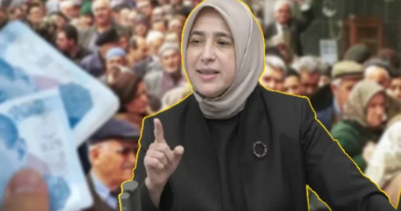 AKP li Zengin in emekli açıklamasına tepki yağdı: 273 bin liralık vekil maaşını unuttu Sözcü Gazetesi