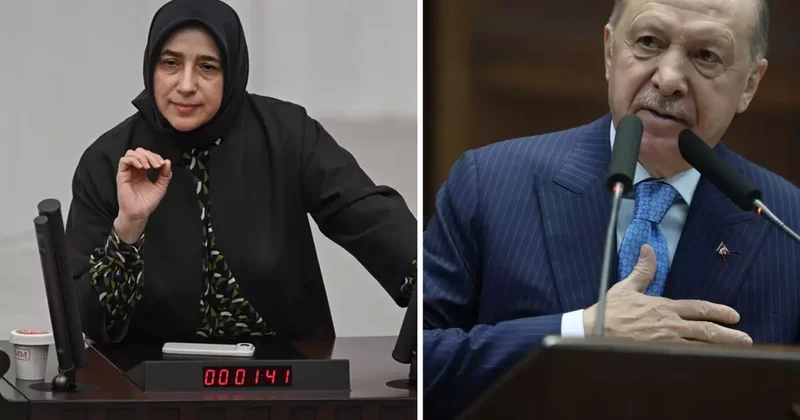 Özlem Zengin in emekli maaşıyla ilgili sözleri gündem oldu