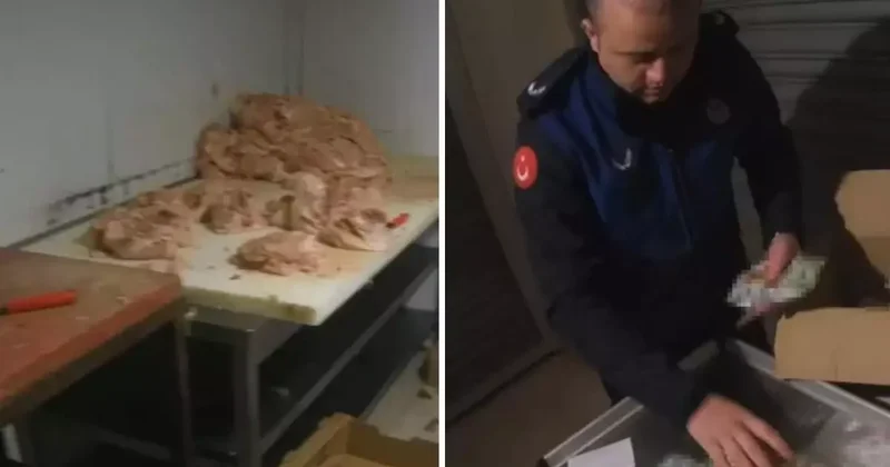 Ruhsatsız Tavuk Tesisi Mühürlendi