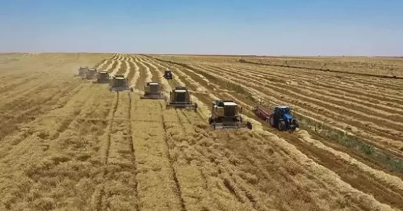 Yem sanayicilerinden yeni karar! Fiyatlar sabit kalacak