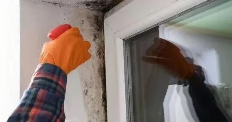 Çamaşır suyundan 100 kat daha etkili ve çok doğal: Küften eser kalmıyor Sözcü Gazetesi