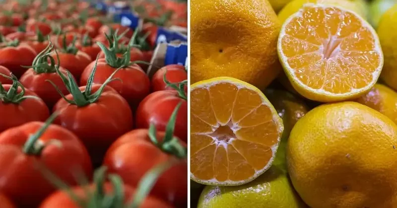 İstanbullular 2025 te en çok mandalina ve domates tüketti Ekonomi Haberleri
