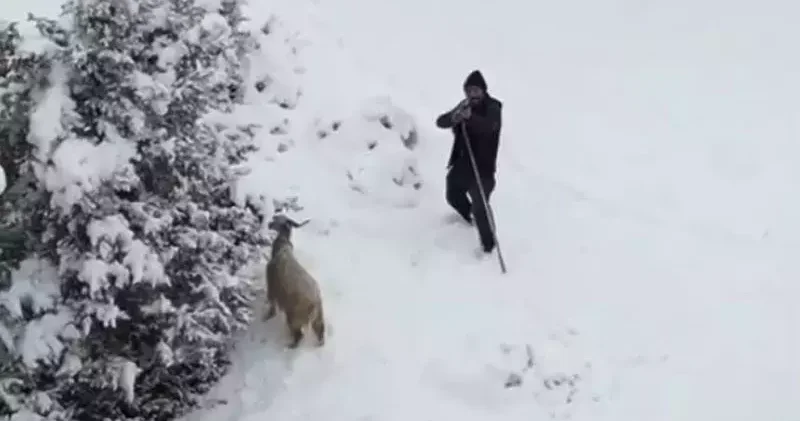 Dronuna tüfek doğrultulan fotoğrafçı: Ateş etse vurabilirdi