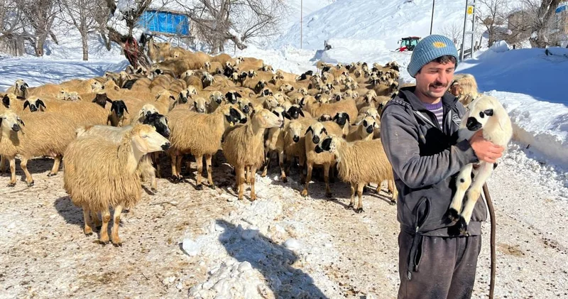 Atanamayınca besicilik yapan öğretmen ders verir gibi anlattı: Her gün biraz daha zarar ediyoruz