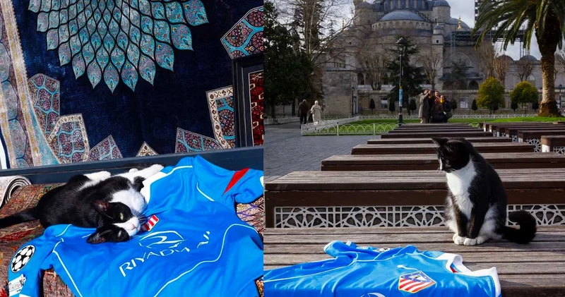 Galatasaray maçı öncesi İspanyol devinden Kediler Şehri paylaşımı