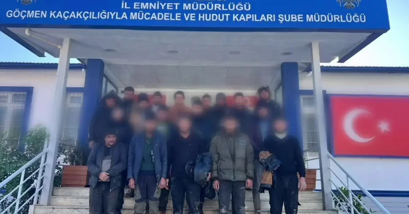 Hayvan dışkısının altından 19 yabancı çıktı!