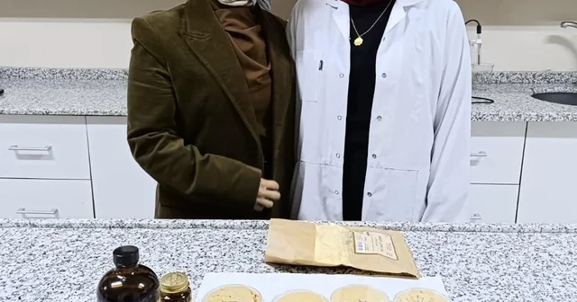 Vegan sporcular için ceviz temelli protein tozu geliştirdiler Erzincan Haberleri