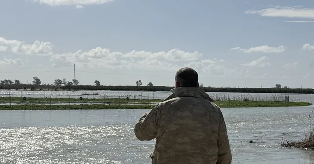 Seyhan Nehri taştı, Tarsus ta tarım arazileri sular altında kaldı Taşkın nedeniyle Tarsus Tuzla yolu kapatıldı Mersin Haberleri