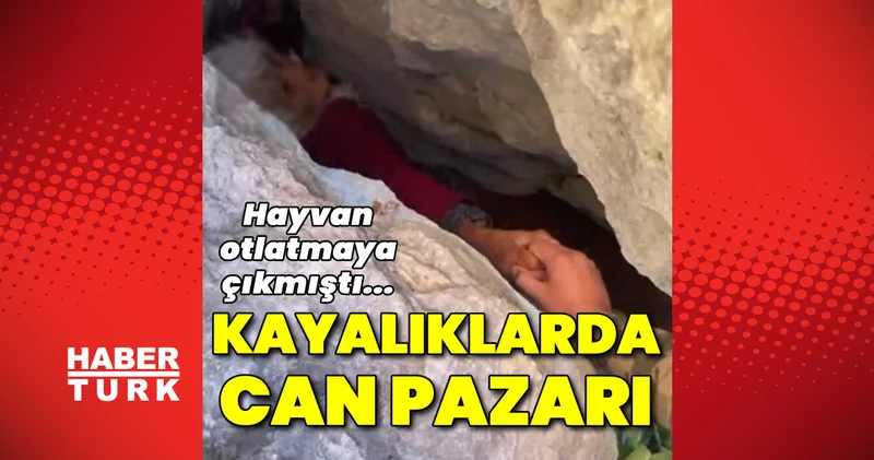 Son dakika: Antalya haberleri: Hayvan otlatmaya çıktı... Kayalıkların arasında sıkışmış halde bulundu! Son dakika haberleri