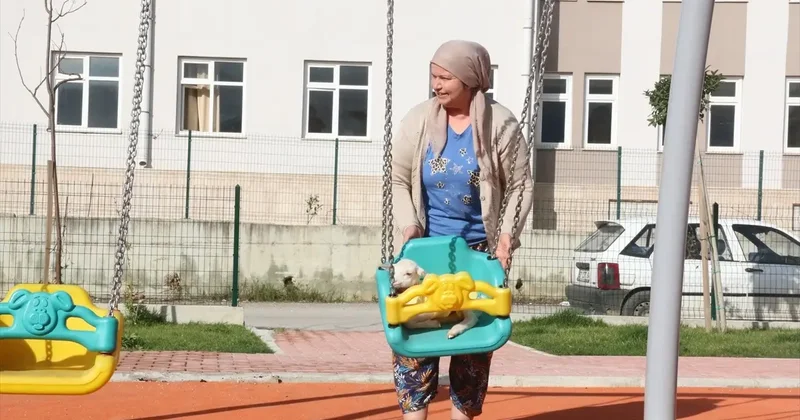 Kuzu deyip geçmeyin! Naciye isimli bu minik salıncakta sallanıyor, misafirliğe bile gidiyor