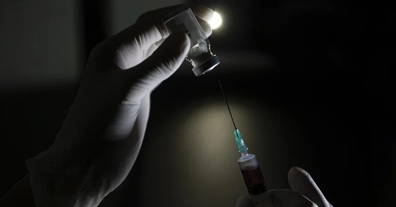 İstanbul da kuduz riskli temas arttı: 123 bin başvuru