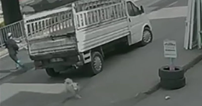 Köpekten kaçarken otobüs çarptı