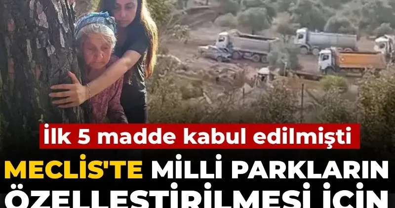 Meclis te Milli Parkların özelleştirilmesi için oylama yapılacak! İlk 5 madde kabul edilmişti
