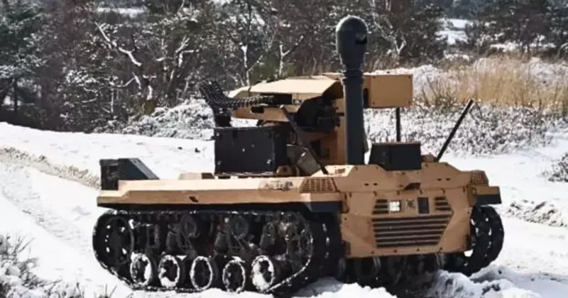 Dünya hayran kaldı! NATO dan Aslan paylaşımı