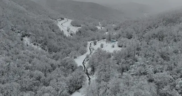 Tekirdağ da karla kaplanan ormanlar güzel görüntü oluşturdu VİDEO İZLE
