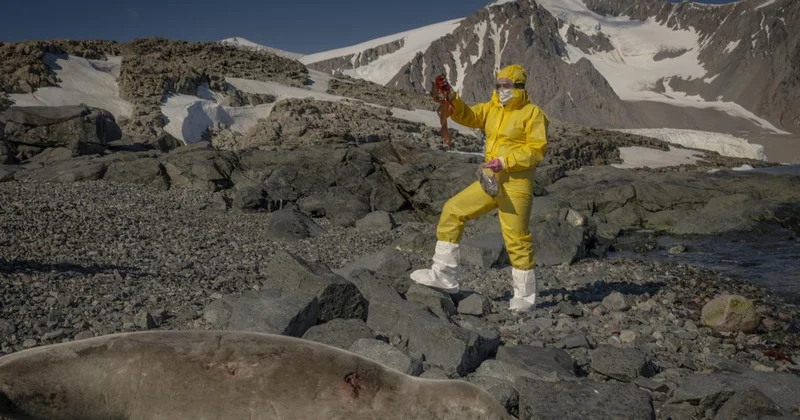 Türk bilim insanları Antarktika daki araştırmalarıyla sağlık ve tarıma ışık tutuyor