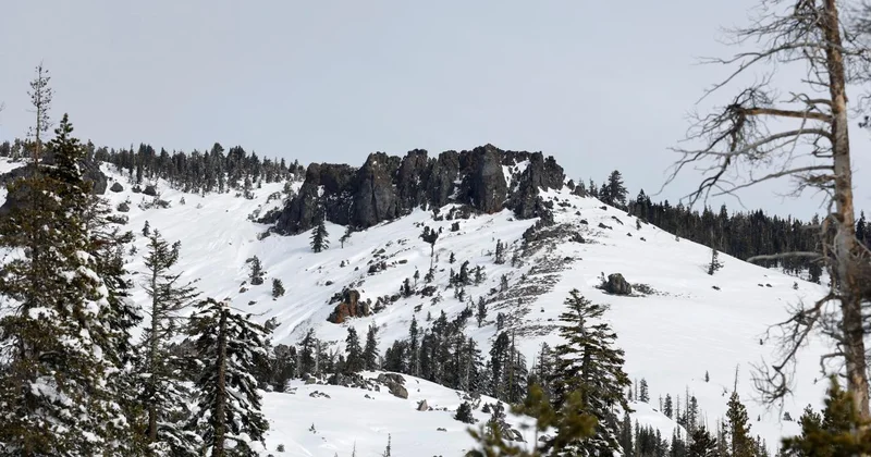 ABD de yaşanan çığda hayatını kaybeden kayakçıların sayısı 9 oldu