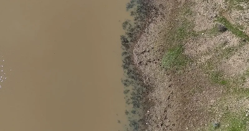 Gölet çatlamış balıklar telef olmuştu: Şimdi hayvanlar su içiyor