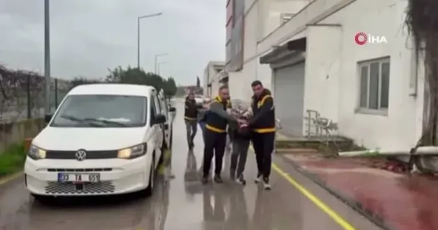 Atlara eziyet edenlere ibretlik ceza!