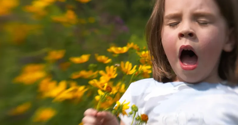 Bahar alerjisi: Çocukları korumanın 7 etkili yolu