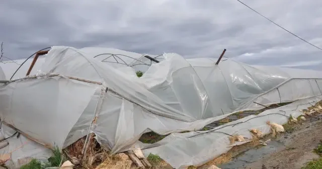 Mersin de hortum ve dolu felaketi: 10 yıllık emek birkaç dakika içinde yok oldu VİDEO İZLE