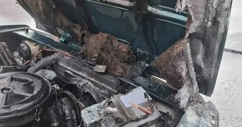 Alanya’da seyir halindeki otomobil alev aldı: Ekiplerin müdahalesiyle söndürüldü Gündem Haberleri