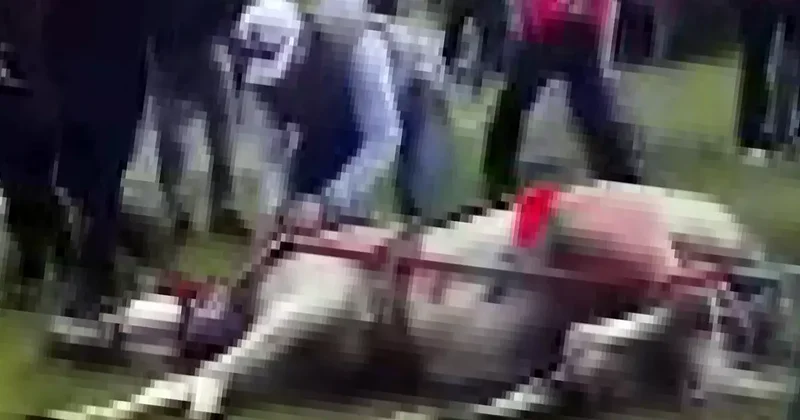 Koşmadığı için döve döve atı bayıltmışlardı! O canilere ibretlik ceza