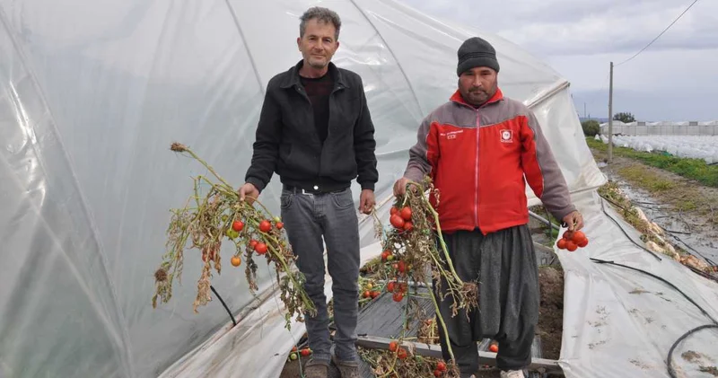 Mersin de dolu çiftçinin geçim kaynağını vurdu! Hepsi gitti çok mağdurum