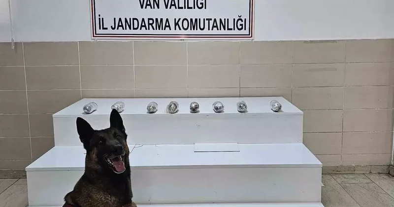 Van’da uyuşturucu madde ele geçirildi