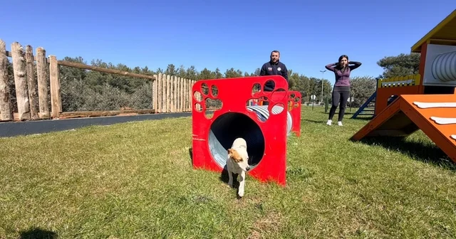 Duacı Mahallesi nde Pati Park hizmet açıldı Antalya Haberleri