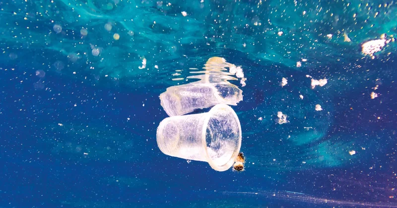 Denizlerde dip temizliği... 325 bin ton atık bertaraf edildi