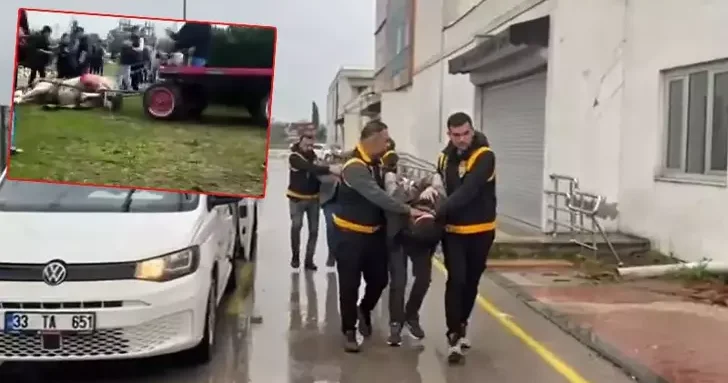 Atlara koşmadığı için şiddet uygulayan şüphelilere hayvan barınağında çalışma cezası