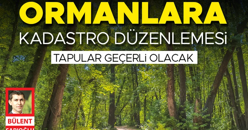 Ormanlara kadastro düzenlemesi