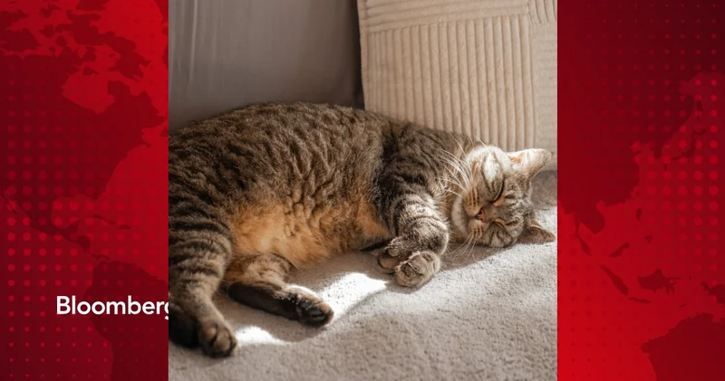 Güç uykusu hakkında bilinmeyenler