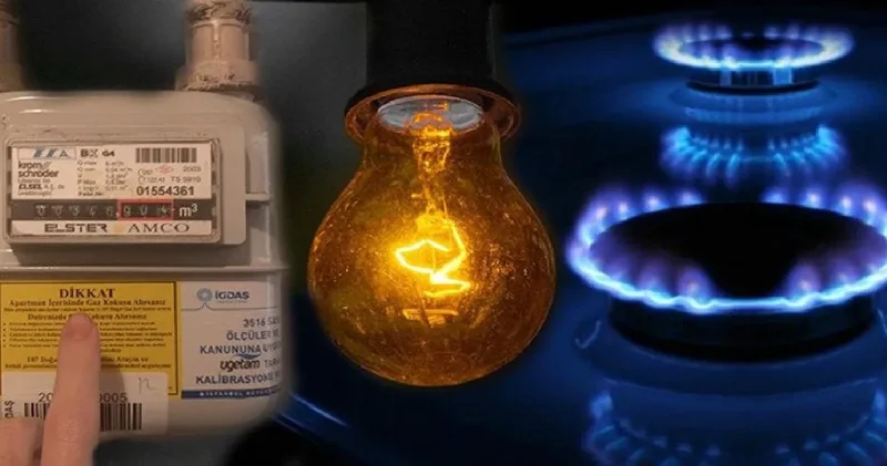 Ocak verisi geldi: Doğalgaz ve elektrik tüketimi arttı