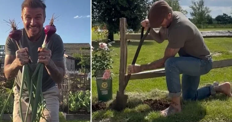 Göz bebeği oğlu onu hoyratça can evinden vurdu... Acısını milyonluk bahçesinde unutuyor: Toprak en sadık dostu oldu!