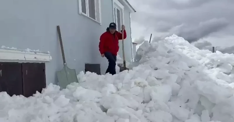 Gümüşhane’de akılalmaz olay: Ayılar bu kez kapıdan değil pencereden girdi