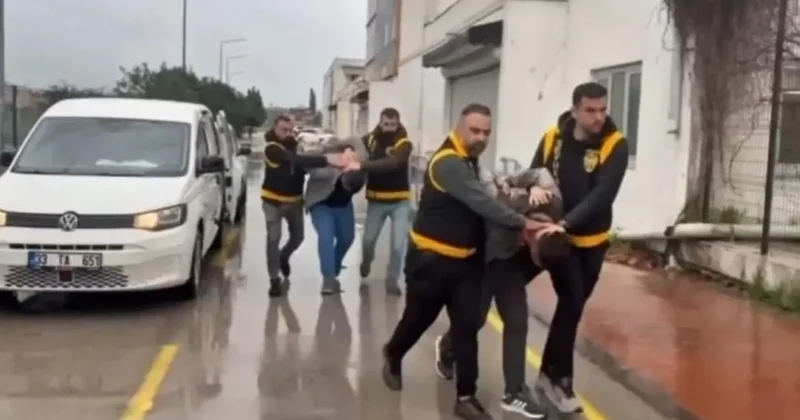 Atlara eziyet edenlere dikkat çeken ceza: Haftada 1 gün barınak temizleyecekler