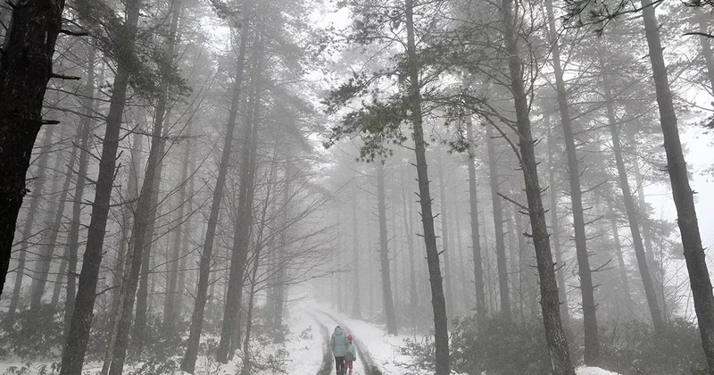 Düzce de kar etkili oldu! Gece boyunca sürecek