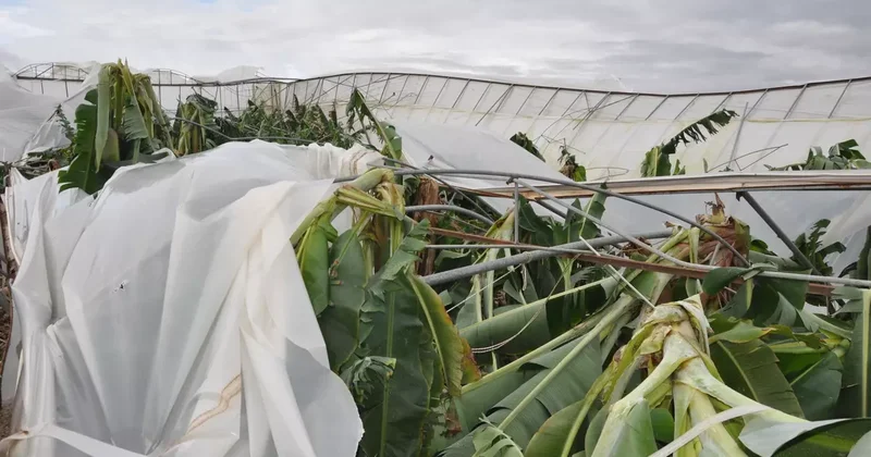 Mersin de şiddetli rüzgar ve doludan 150 dönüm sera zarar gördü