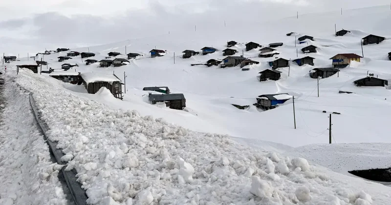 Ardahan ile Artvin arasındaki yaylalar beyaza büründü